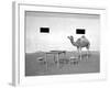 Animal Talk 11,-Jaschi Klein-Framed Photographic Print