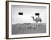 Animal Talk 11,-Jaschi Klein-Framed Photographic Print