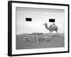 Animal Talk 11,-Jaschi Klein-Framed Photographic Print