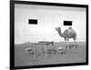 Animal Talk 11,-Jaschi Klein-Framed Photographic Print