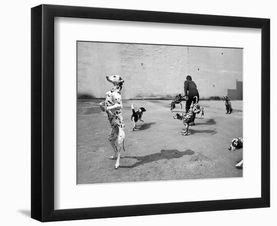 Animal Talk 5, 2015-Jaschi Klein-Framed Photographic Print