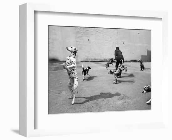 Animal Talk 5, 2015-Jaschi Klein-Framed Photographic Print