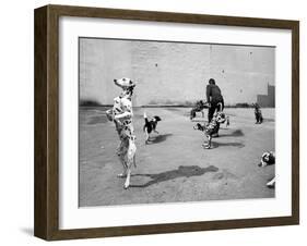 Animal Talk 6-Jaschi Klein-Framed Photographic Print