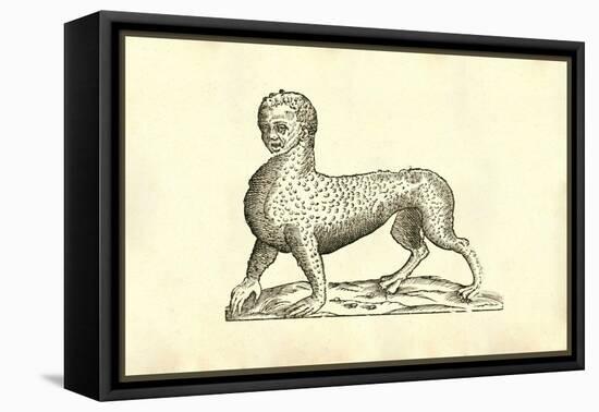 Animal Tigridi Affine-Ulisse Aldrovandi-Framed Stretched Canvas