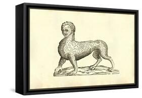 Animal Tigridi Affine-Ulisse Aldrovandi-Framed Stretched Canvas