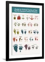 Animal Tracks of the North Eastern United States-null-Framed Art Print