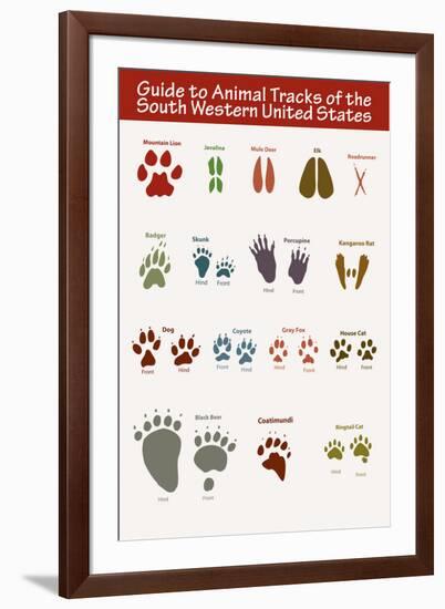 Animal Tracks of the South Western United States Poster-null-Framed Photo