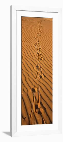 Animal Tracks on Sand Dune, Namibia-null-Framed Photographic Print
