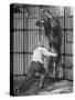 Animal Trainer Jules Jacot Training a Lion, one of the 21 big cats He Will Use Next Year-Wallace Kirkland-Stretched Canvas