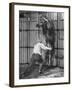 Animal Trainer Jules Jacot Training a Lion, one of the 21 big cats He Will Use Next Year-Wallace Kirkland-Framed Photographic Print