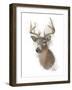 Animal Woodland Deer-Matthew Piotrowicz-Framed Art Print