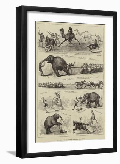 Animals Against Men, Feats of Strength at Lillie-Bridge-null-Framed Giclee Print