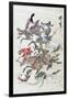 Animals and Ambhipibians in a Hunting Scene, 20th Century-null-Framed Giclee Print