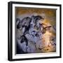 Animals and Birds, Chauvet-Pont-D'Arc Cave, Ardeche-null-Framed Giclee Print