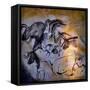 Animals and Birds, Chauvet-Pont-D'Arc Cave, Ardeche-null-Framed Stretched Canvas