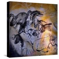 Animals and Birds, Chauvet-Pont-D'Arc Cave, Ardeche-null-Stretched Canvas