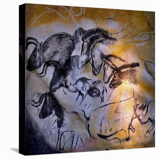 Animals and Birds, Chauvet-Pont-D'Arc Cave, Ardeche-null-Stretched Canvas