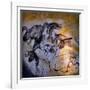 Animals and Birds, Chauvet-Pont-D'Arc Cave, Ardeche-null-Framed Giclee Print