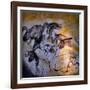 Animals and Birds, Chauvet-Pont-D'Arc Cave, Ardeche-null-Framed Giclee Print