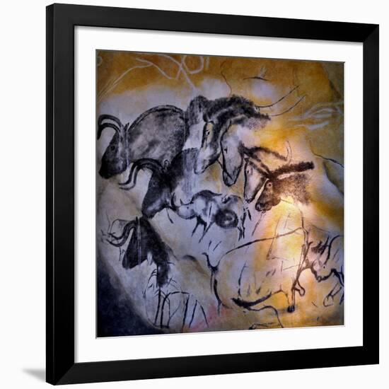 Animals and Birds, Chauvet-Pont-D'Arc Cave, Ardeche-null-Framed Giclee Print