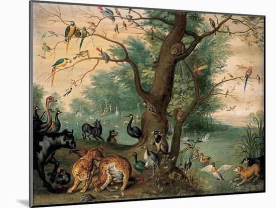 Animals and Birds in the Garden of Eden-Ferdinand van Kessel-Mounted Giclee Print