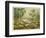 Animals and Plants of the Carboniferous Era in Europe-Ferdinand Von Hochstetter-Framed Photographic Print