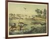 Animals and Plants of the Jurassic Era in Europe-Ferdinand Von Hochstetter-Framed Art Print