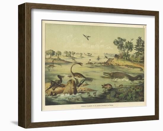 Animals and Plants of the Jurassic Era in Europe-Ferdinand Von Hochstetter-Framed Art Print