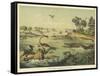 Animals and Plants of the Jurassic Era in Europe-Ferdinand Von Hochstetter-Framed Stretched Canvas