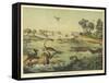 Animals and Plants of the Jurassic Era in Europe-Ferdinand Von Hochstetter-Framed Stretched Canvas