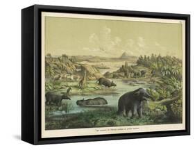 Animals and Plants of the Tertiary Era in Europe-Ferdinand Von Hochstetter-Framed Stretched Canvas