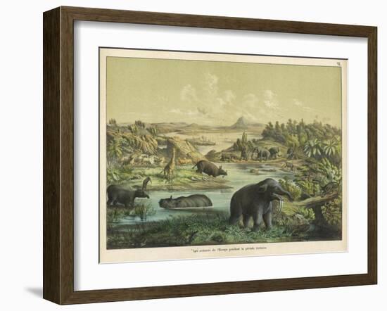 Animals and Plants of the Tertiary Era in Europe-Ferdinand Von Hochstetter-Framed Art Print