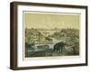 Animals and Plants of the Tertiary Era in Europe-Ferdinand Von Hochstetter-Framed Art Print