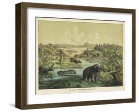 Animals and Plants of the Tertiary Era in Europe-Ferdinand Von Hochstetter-Framed Art Print