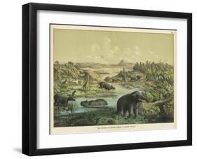 Animals and Plants of the Tertiary Era in Europe-Ferdinand Von Hochstetter-Framed Art Print