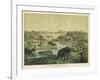 Animals and Plants of the Tertiary Era in Europe-Ferdinand Von Hochstetter-Framed Art Print