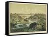 Animals and Plants of the Tertiary Era in Europe-Ferdinand Von Hochstetter-Framed Stretched Canvas