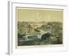 Animals and Plants of the Tertiary Era in Europe-Ferdinand Von Hochstetter-Framed Art Print