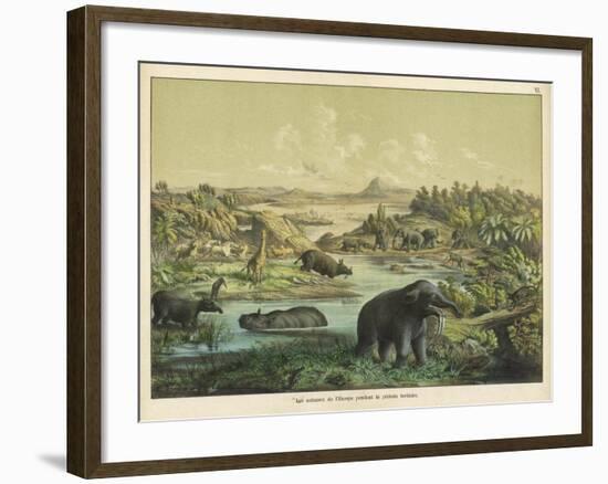 Animals and Plants of the Tertiary Era in Europe-Ferdinand Von Hochstetter-Framed Art Print