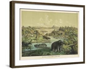 Animals and Plants of the Tertiary Era in Europe-Ferdinand Von Hochstetter-Framed Art Print