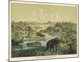 Animals and Plants of the Tertiary Era in Europe-Ferdinand Von Hochstetter-Mounted Art Print
