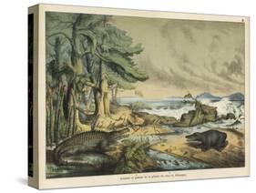 Animals and Plants of the Triassic Era in Germany-Ferdinand Von Hochstetter-Stretched Canvas