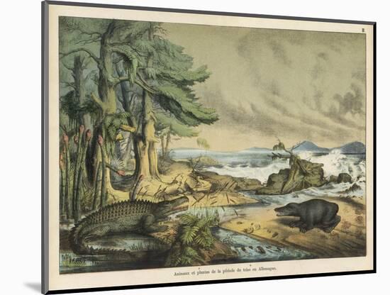 Animals and Plants of the Triassic Era in Germany-Ferdinand Von Hochstetter-Mounted Art Print