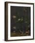 Animals and Plants-Anthonie Van Borssom-Framed Art Print