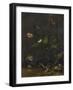 Animals and Plants-Anthonie Van Borssom-Framed Art Print