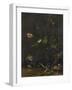 Animals and Plants-Anthonie Van Borssom-Framed Art Print