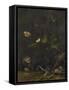 Animals and Plants-Anthonie Van Borssom-Framed Stretched Canvas
