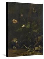 Animals and Plants-Anthonie Van Borssom-Stretched Canvas