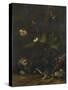 Animals and Plants-Anthonie Van Borssom-Stretched Canvas