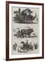 Animals at the Florence Exhibition-Harrison William Weir-Framed Giclee Print